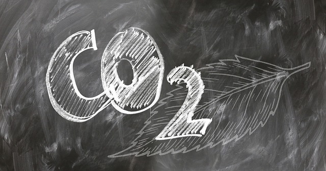 carbon dioxide
